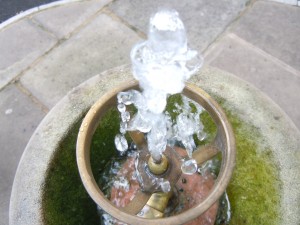 Rose Guan fountain